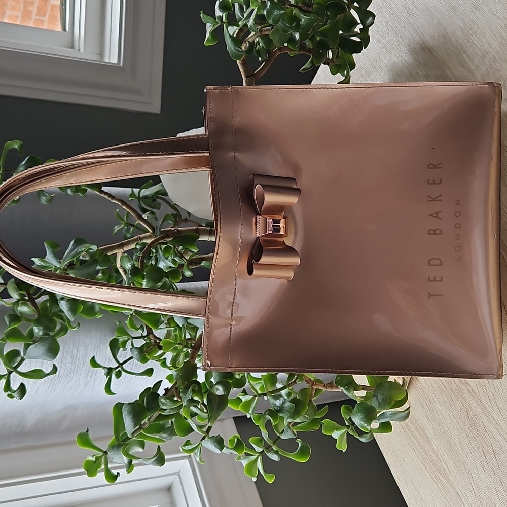 Ted Baker Rose Gold ICON Mini Bag